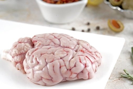 Goat Brain